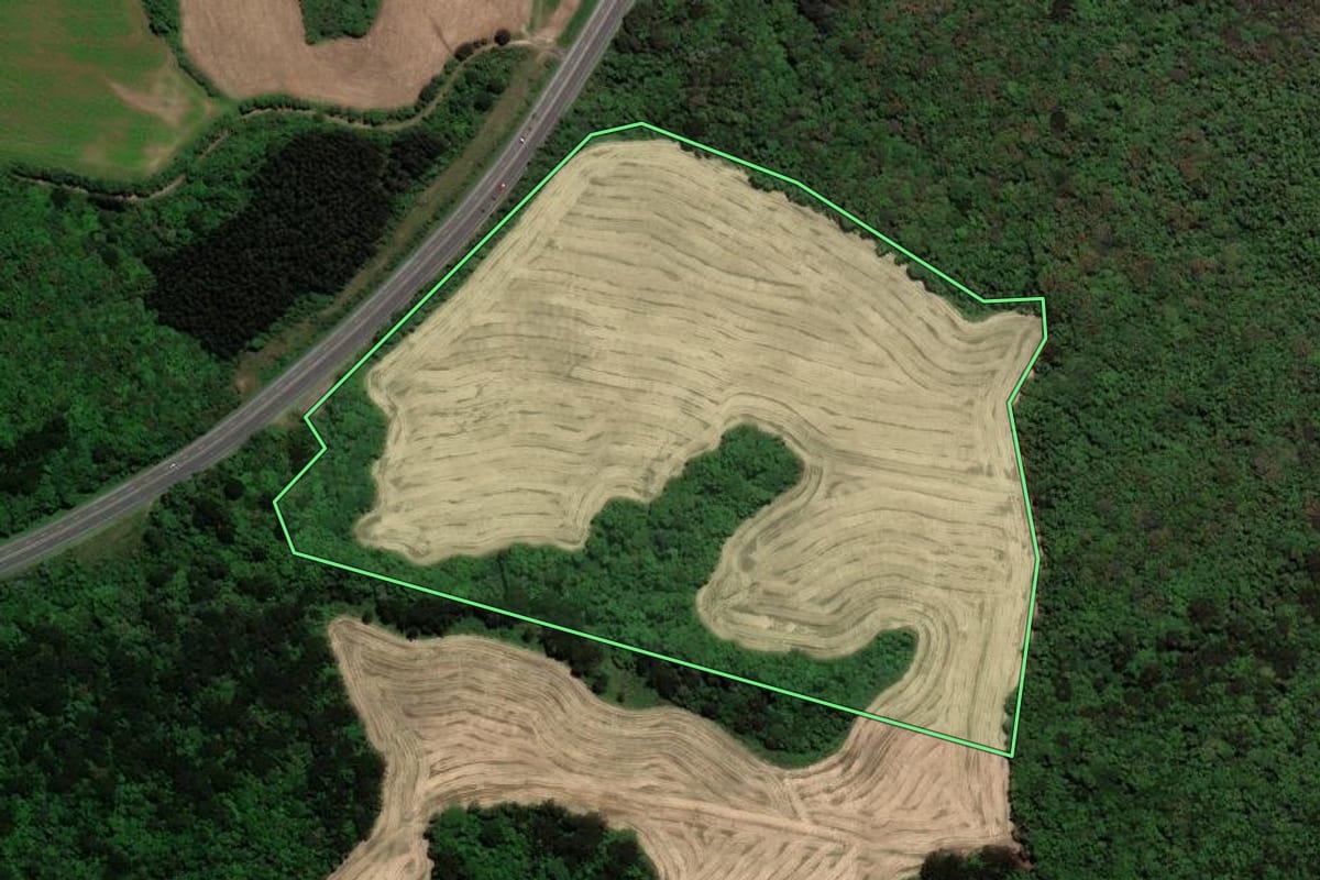 Imagem de satélite do imóvel rural em Piraí do Sul (PR), com o contorno declarado no CAR desenhado por cima.