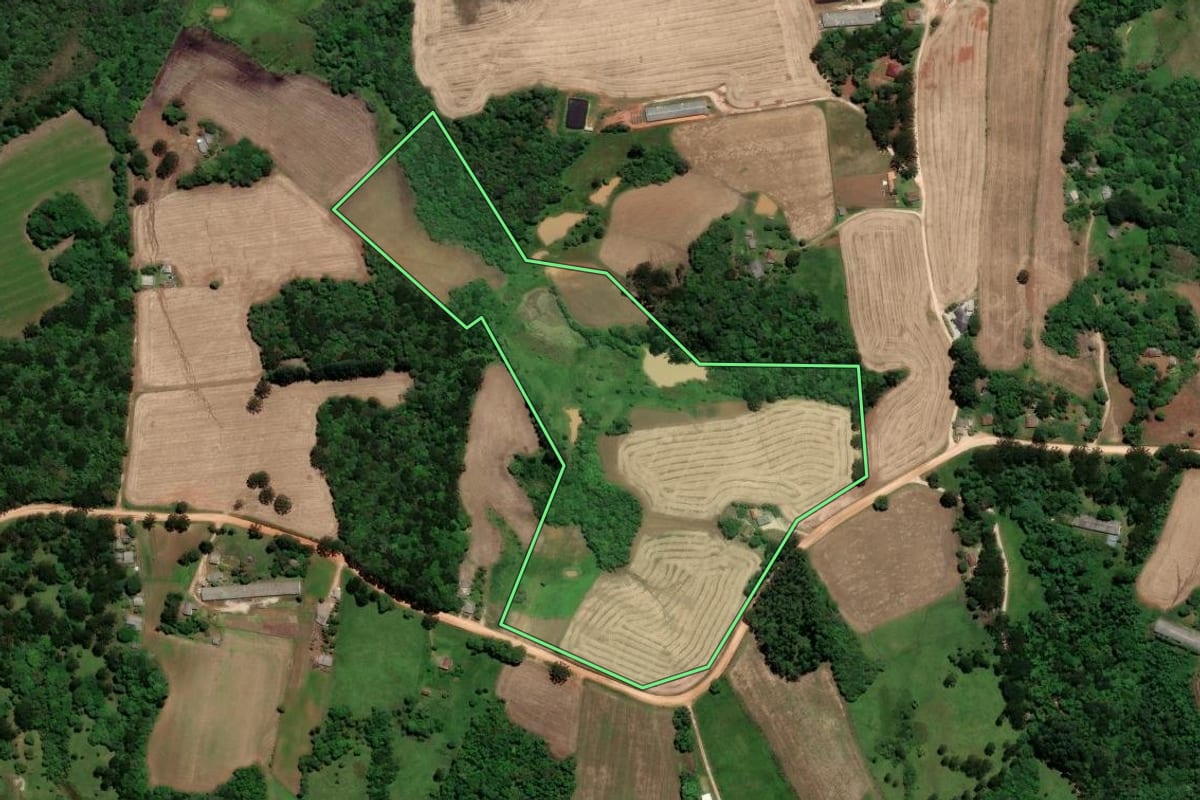 Imagem de satélite do imóvel rural em Piraí do Sul (PR), com o contorno declarado no CAR desenhado por cima.