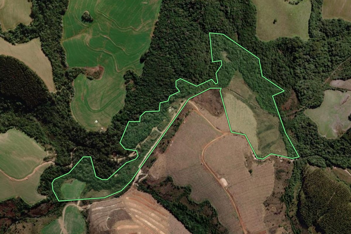 Imagem de satélite do imóvel rural em Piraí do Sul (PR), com o contorno declarado no CAR desenhado por cima.