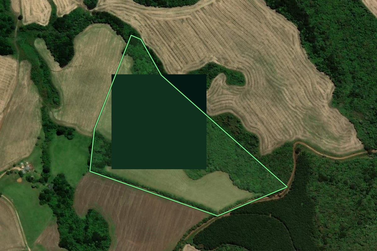 Imagem de satélite do imóvel rural em Piraí do Sul (PR), com o contorno declarado no CAR desenhado por cima.