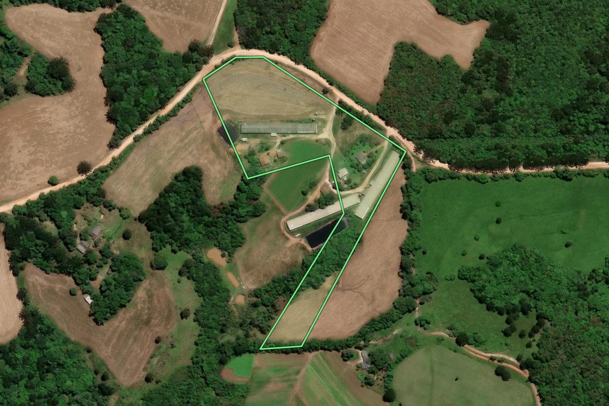 Imagem de satélite do imóvel rural em Piraí do Sul (PR), com o contorno declarado no CAR desenhado por cima.