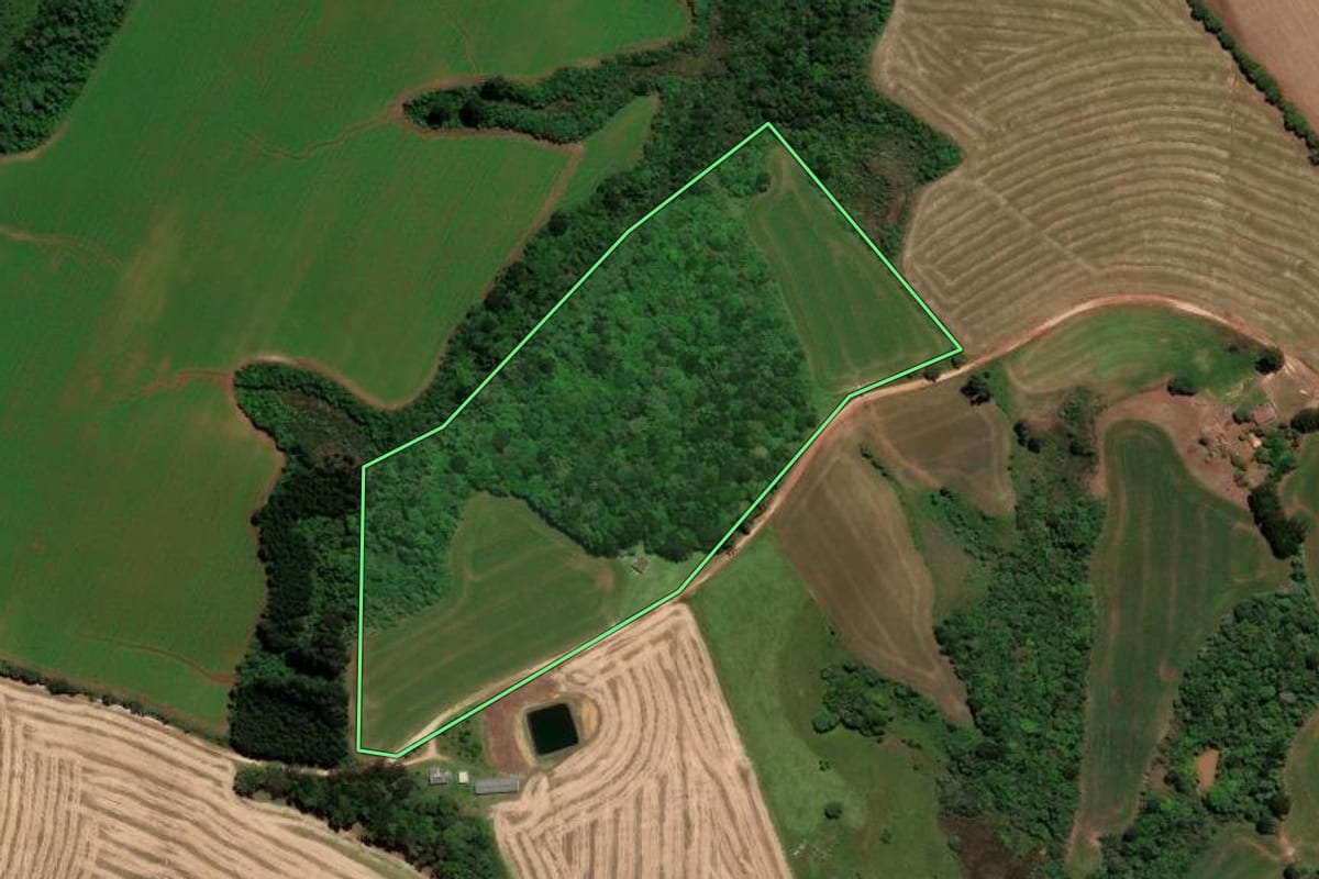 Imagem de satélite do imóvel rural em Piraí do Sul (PR), com o contorno declarado no CAR desenhado por cima.
