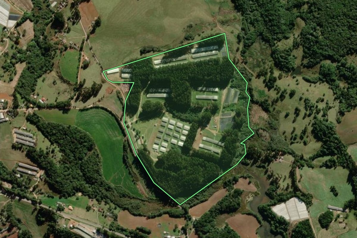 Imagem de satélite do imóvel rural em Piraí do Sul (PR), com o contorno declarado no CAR desenhado por cima.