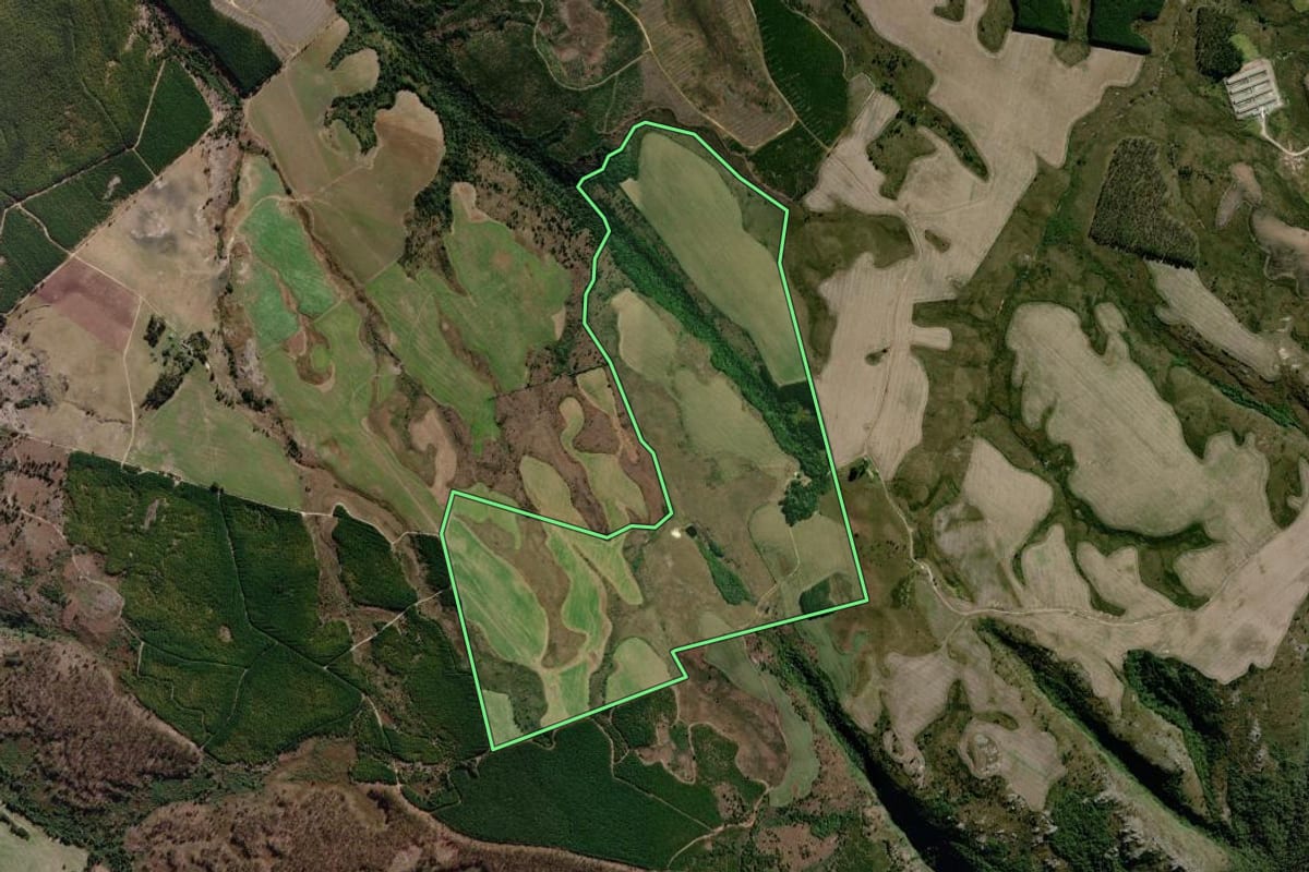 Imagem de satélite do imóvel rural em Piraí do Sul (PR), com o contorno declarado no CAR desenhado por cima.