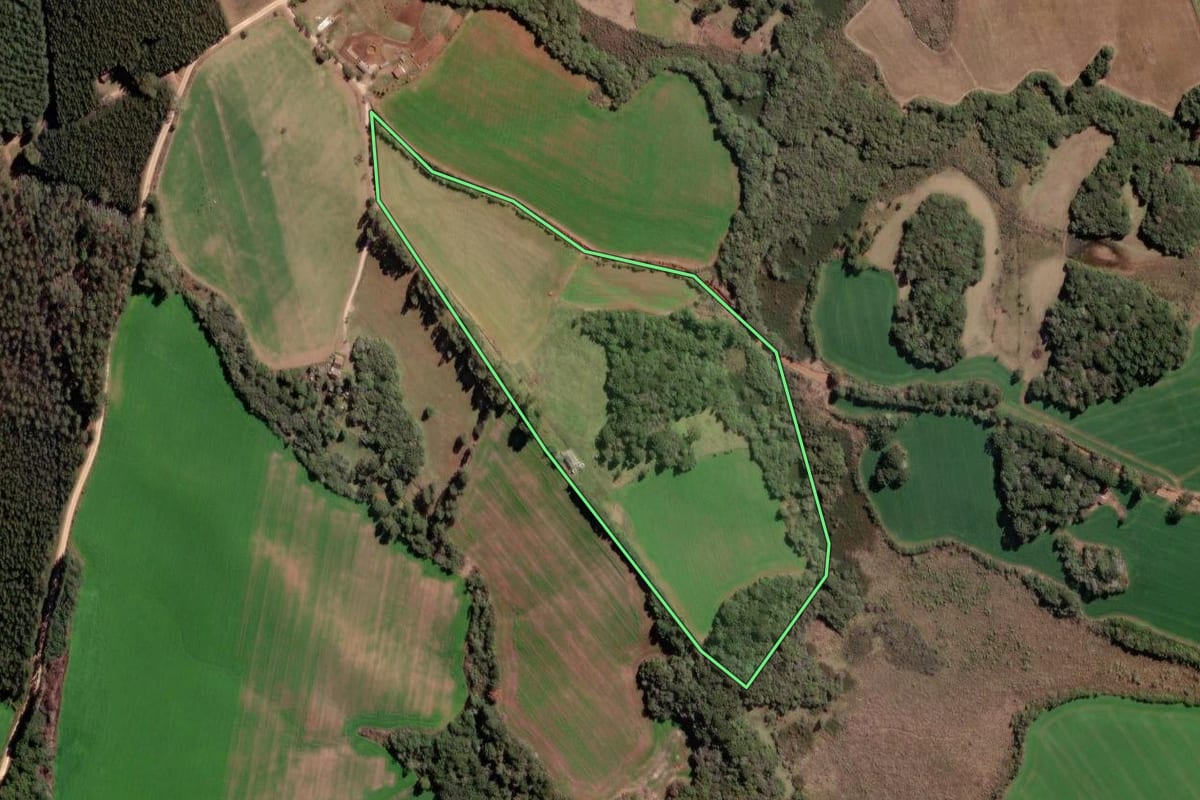 Imagem de satélite do imóvel rural em Piraí do Sul (PR), com o contorno declarado no CAR desenhado por cima.
