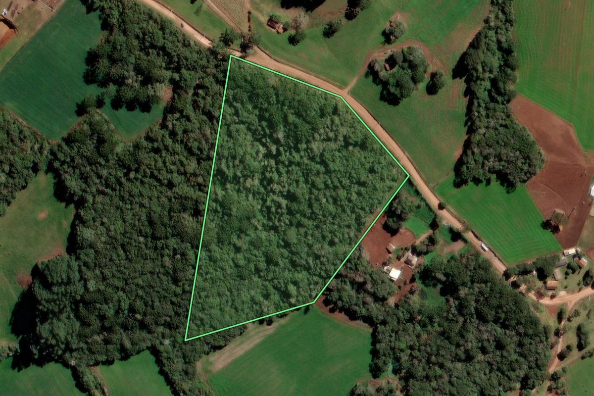 Imagem de satélite do imóvel rural em Piraí do Sul (PR), com o contorno declarado no CAR desenhado por cima.