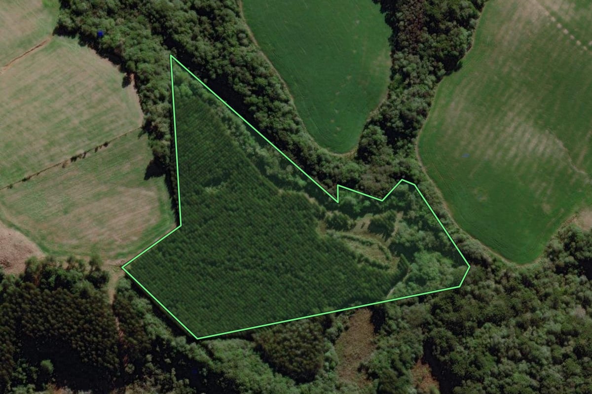 Imagem de satélite do imóvel rural em Piraí do Sul (PR), com o contorno declarado no CAR desenhado por cima.