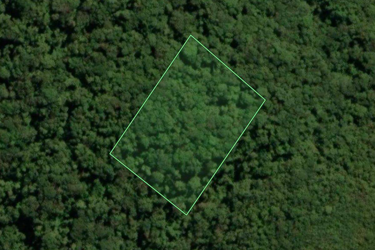 Imagem de satélite do imóvel rural em Piraquara (PR), com o contorno declarado no CAR desenhado por cima.