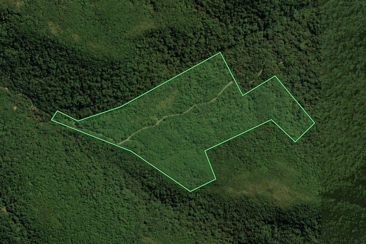 Imagem de satélite do imóvel rural em Piraquara (PR), com o contorno declarado no CAR desenhado por cima.
