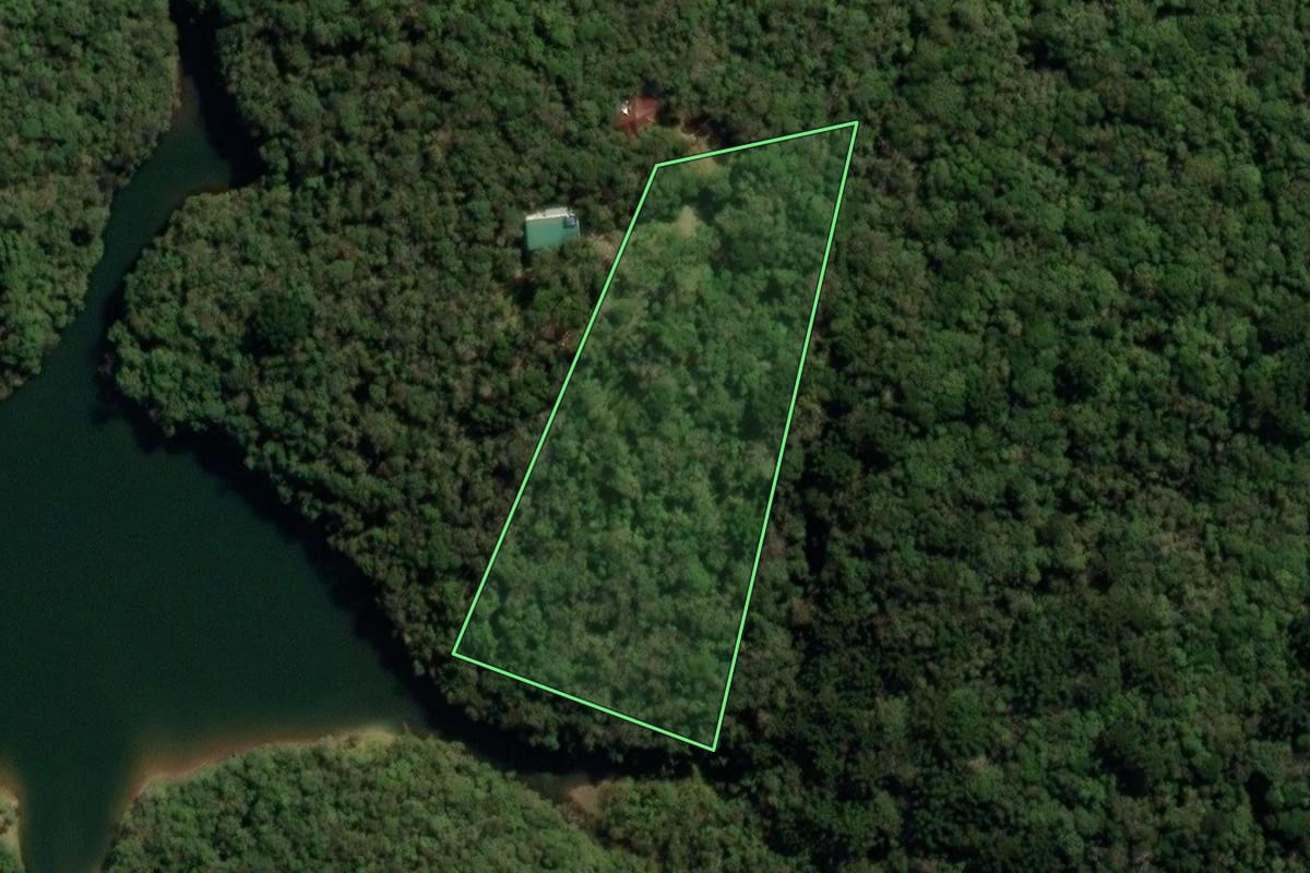 Imagem de satélite do imóvel rural em Piraquara (PR), com o contorno declarado no CAR desenhado por cima.
