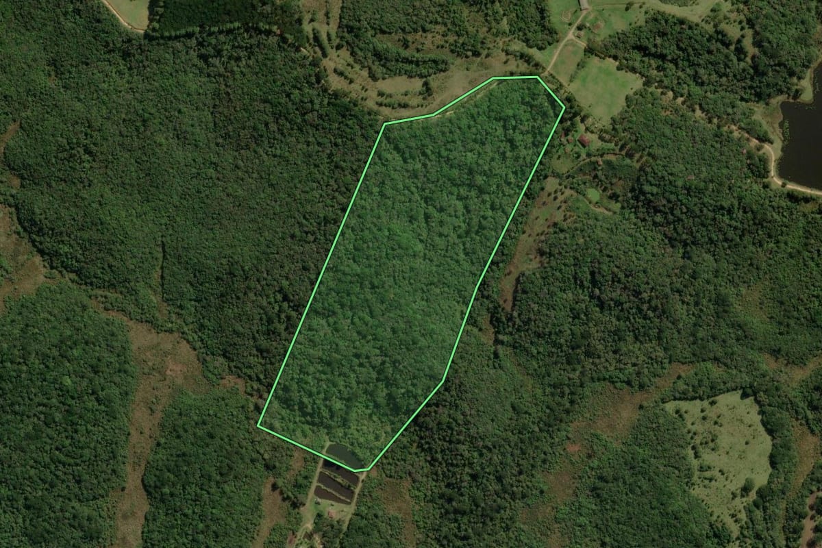 Imagem de satélite do imóvel rural em Piraquara (PR), com o contorno declarado no CAR desenhado por cima.