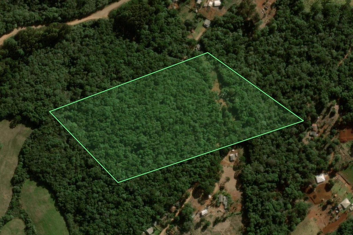 Imagem de satélite do imóvel rural em Pitanga (PR), com o contorno declarado no CAR desenhado por cima.