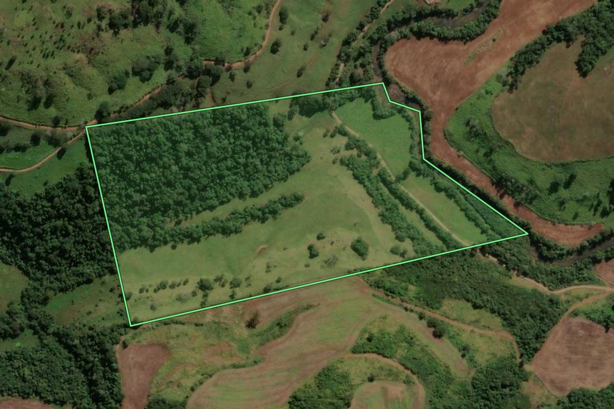 Imagem de satélite do imóvel rural em Pitanga (PR), com o contorno declarado no CAR desenhado por cima.
