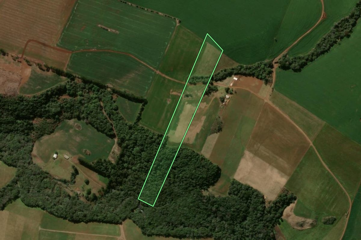 Imagem de satélite do imóvel rural em Pitanga (PR), com o contorno declarado no CAR desenhado por cima.