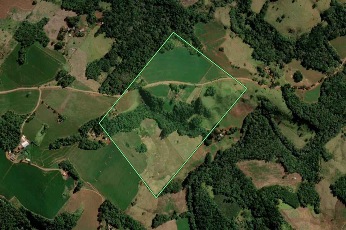 Imagem de satélite do imóvel rural em Pitanga (PR), com o contorno declarado no CAR desenhado por cima.