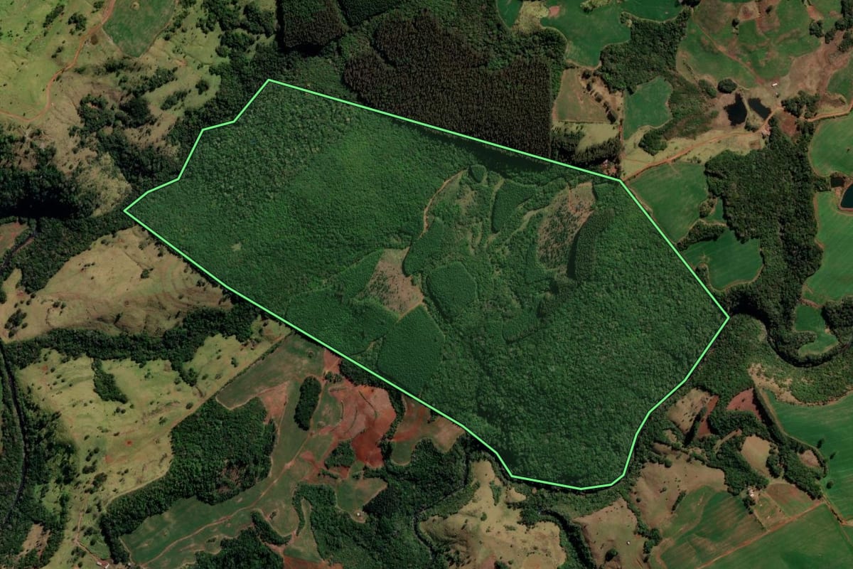 Imagem de satélite do imóvel rural em Pitanga (PR), com o contorno declarado no CAR desenhado por cima.