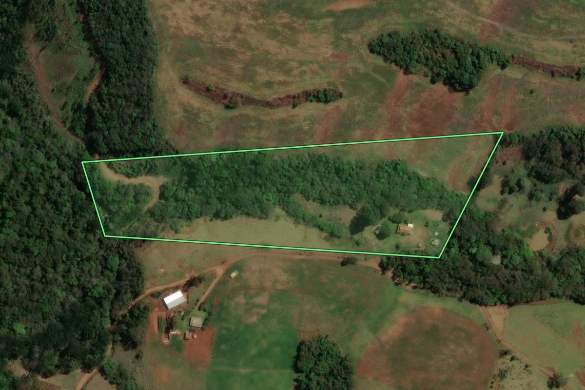 Imagem de satélite do imóvel rural em Pitanga (PR), com o contorno declarado no CAR desenhado por cima.