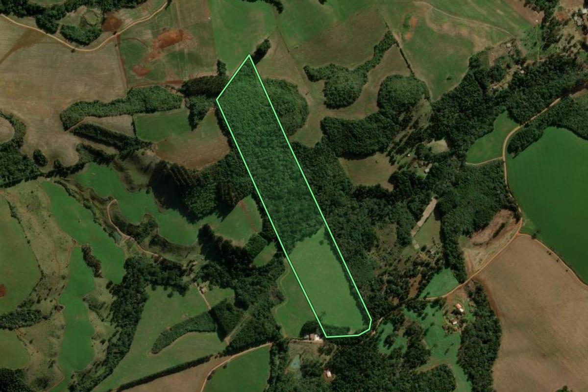 Imagem de satélite do imóvel rural em Pitanga (PR), com o contorno declarado no CAR desenhado por cima.