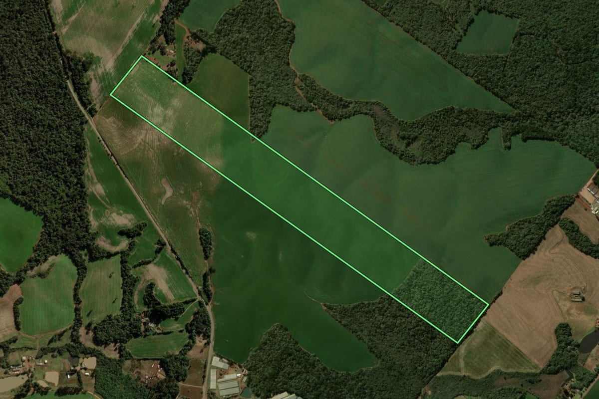 Imagem de satélite do imóvel rural em Pitanga (PR), com o contorno declarado no CAR desenhado por cima.