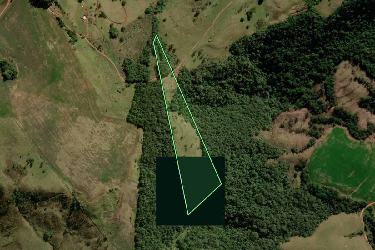 Imagem de satélite do imóvel rural em Pitanga (PR), com o contorno declarado no CAR desenhado por cima.