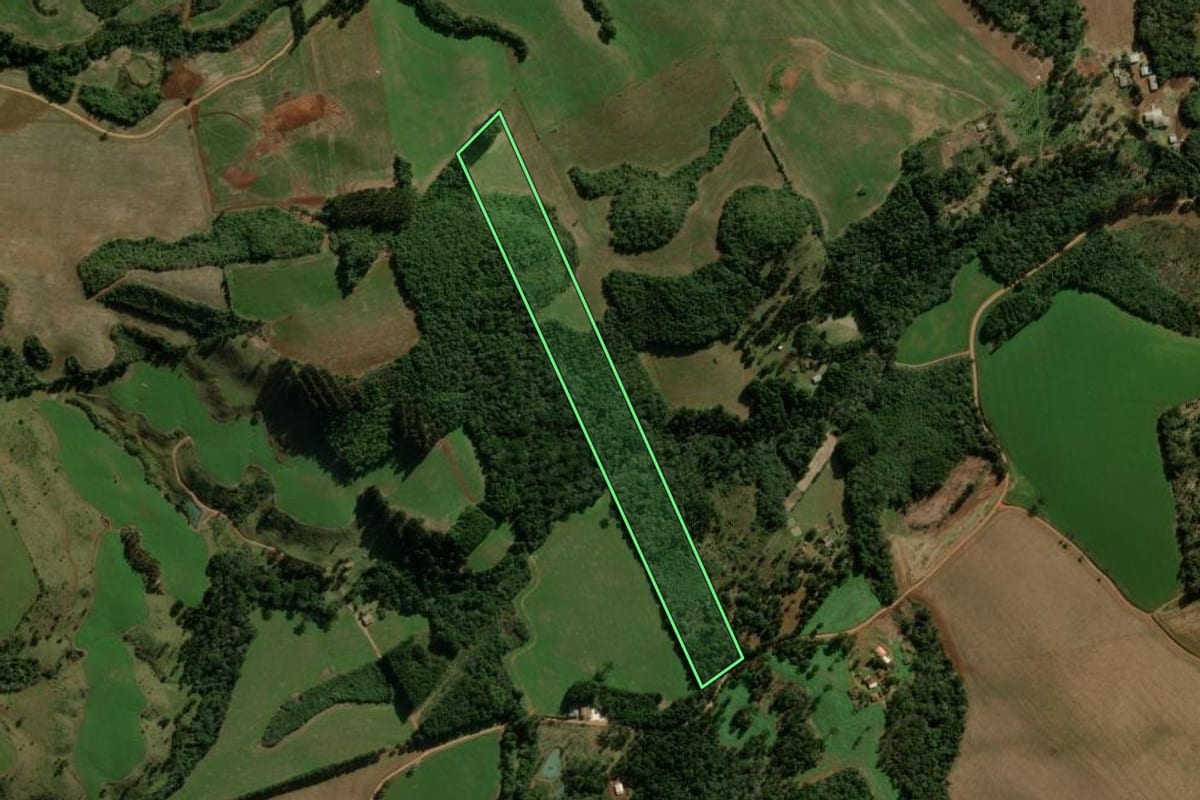 Imagem de satélite do imóvel rural em Pitanga (PR), com o contorno declarado no CAR desenhado por cima.