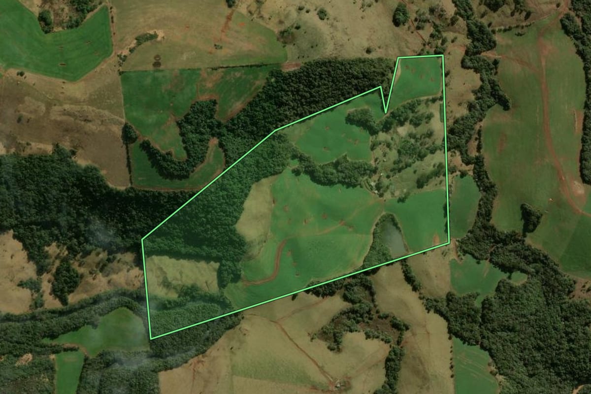Imagem de satélite do imóvel rural em Pitanga (PR), com o contorno declarado no CAR desenhado por cima.