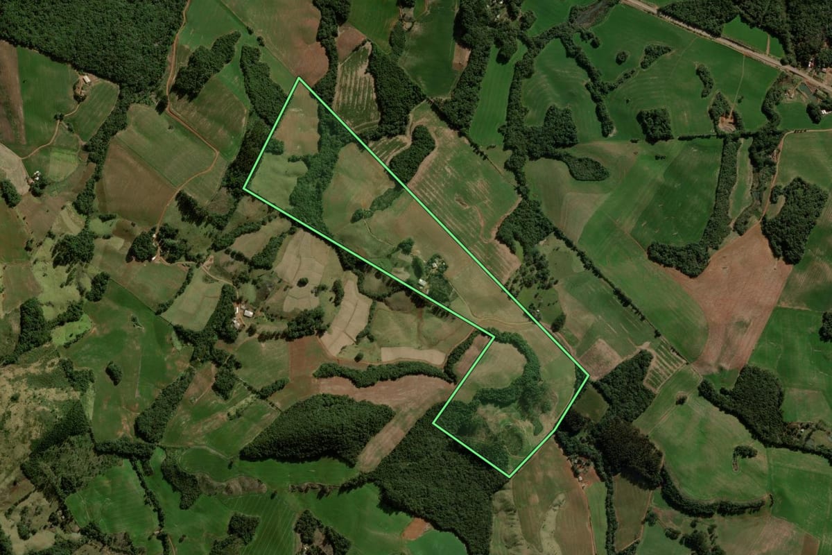 Imagem de satélite do imóvel rural em Pitanga (PR), com o contorno declarado no CAR desenhado por cima.