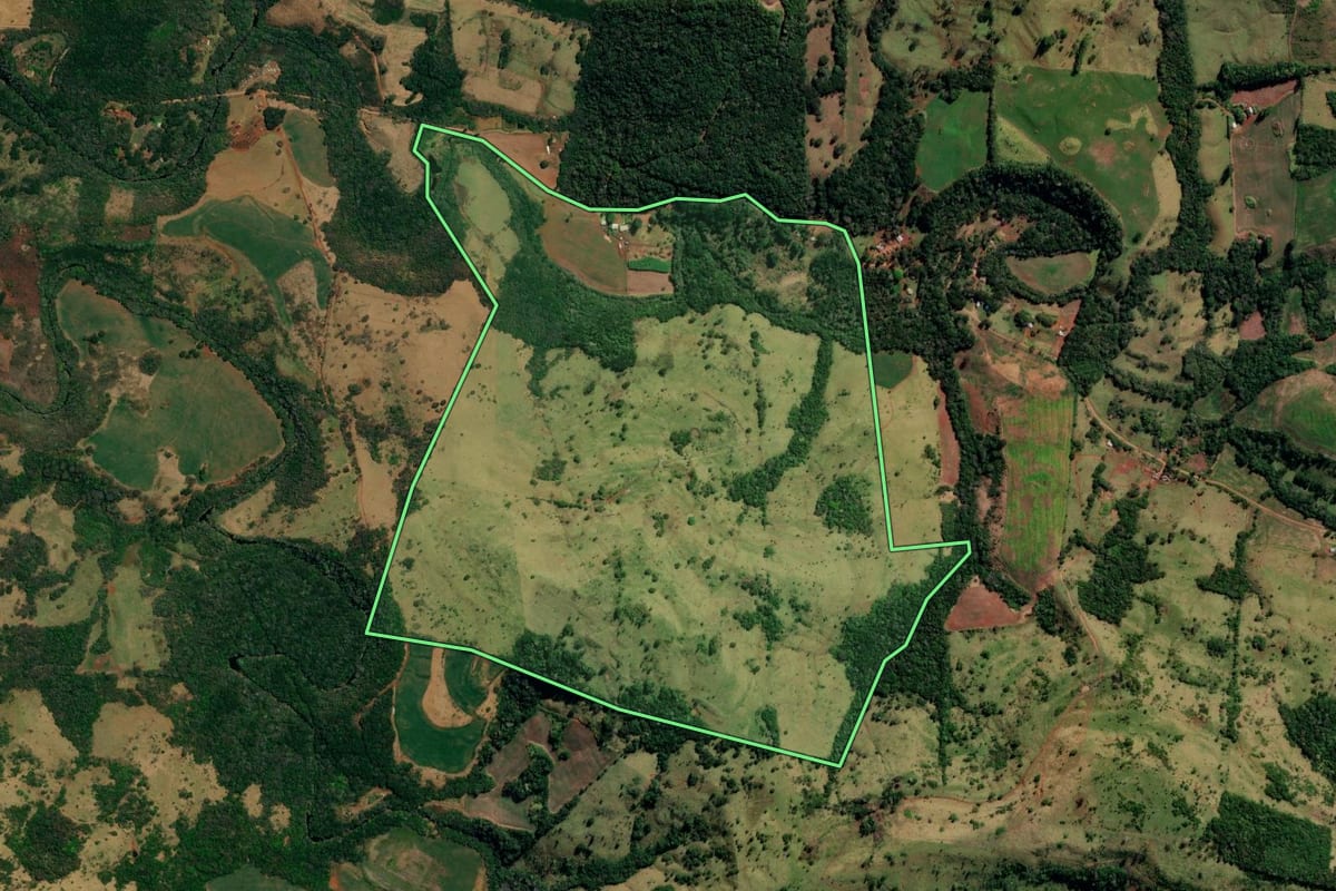 Imagem de satélite do imóvel rural em Pitanga (PR), com o contorno declarado no CAR desenhado por cima.