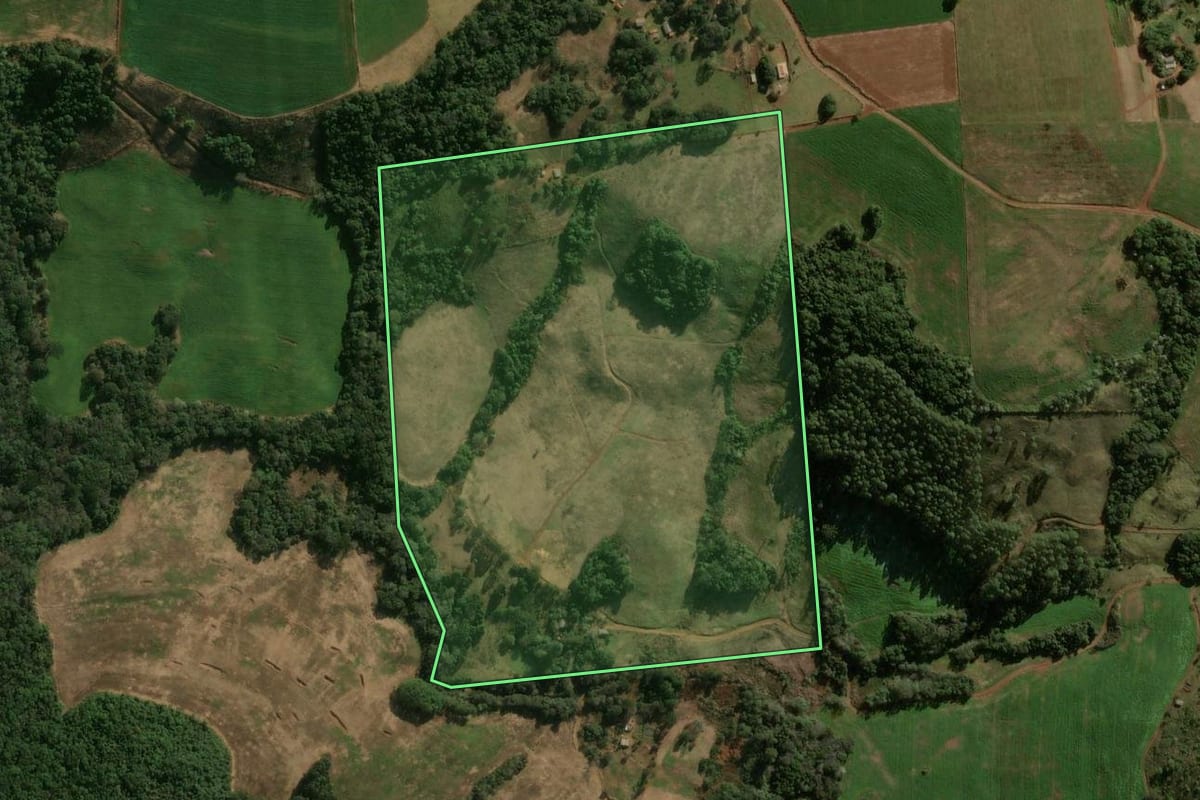 Imagem de satélite do imóvel rural em Pitanga (PR), com o contorno declarado no CAR desenhado por cima.