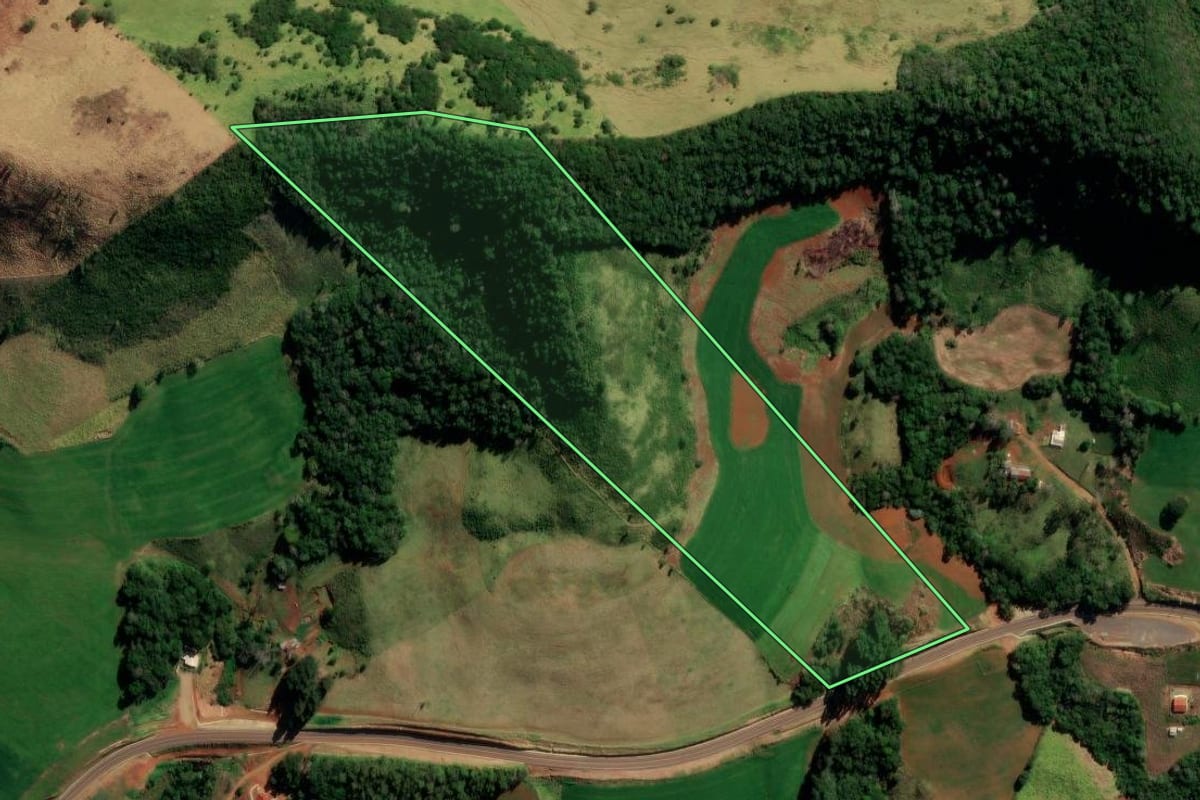 Imagem de satélite do imóvel rural em Pitanga (PR), com o contorno declarado no CAR desenhado por cima.