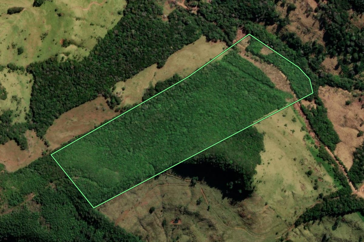 Imagem de satélite do imóvel rural em Pitanga (PR), com o contorno declarado no CAR desenhado por cima.