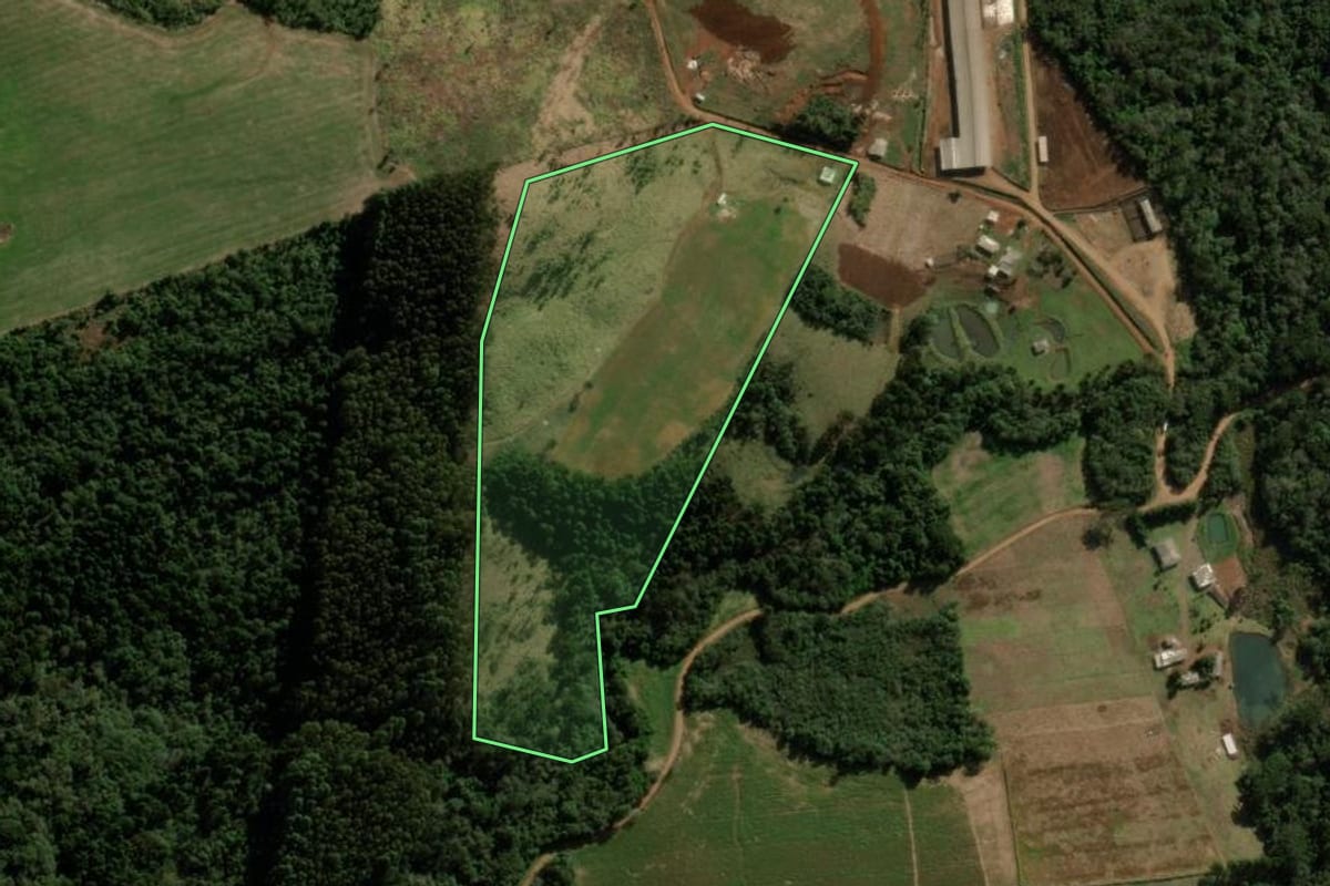 Imagem de satélite do imóvel rural em Pitanga (PR), com o contorno declarado no CAR desenhado por cima.
