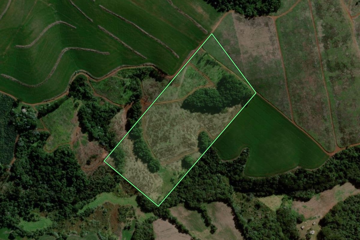 Imagem de satélite do imóvel rural em Pitanga (PR), com o contorno declarado no CAR desenhado por cima.