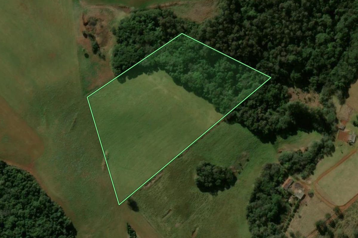 Imagem de satélite do imóvel rural em Pitanga (PR), com o contorno declarado no CAR desenhado por cima.