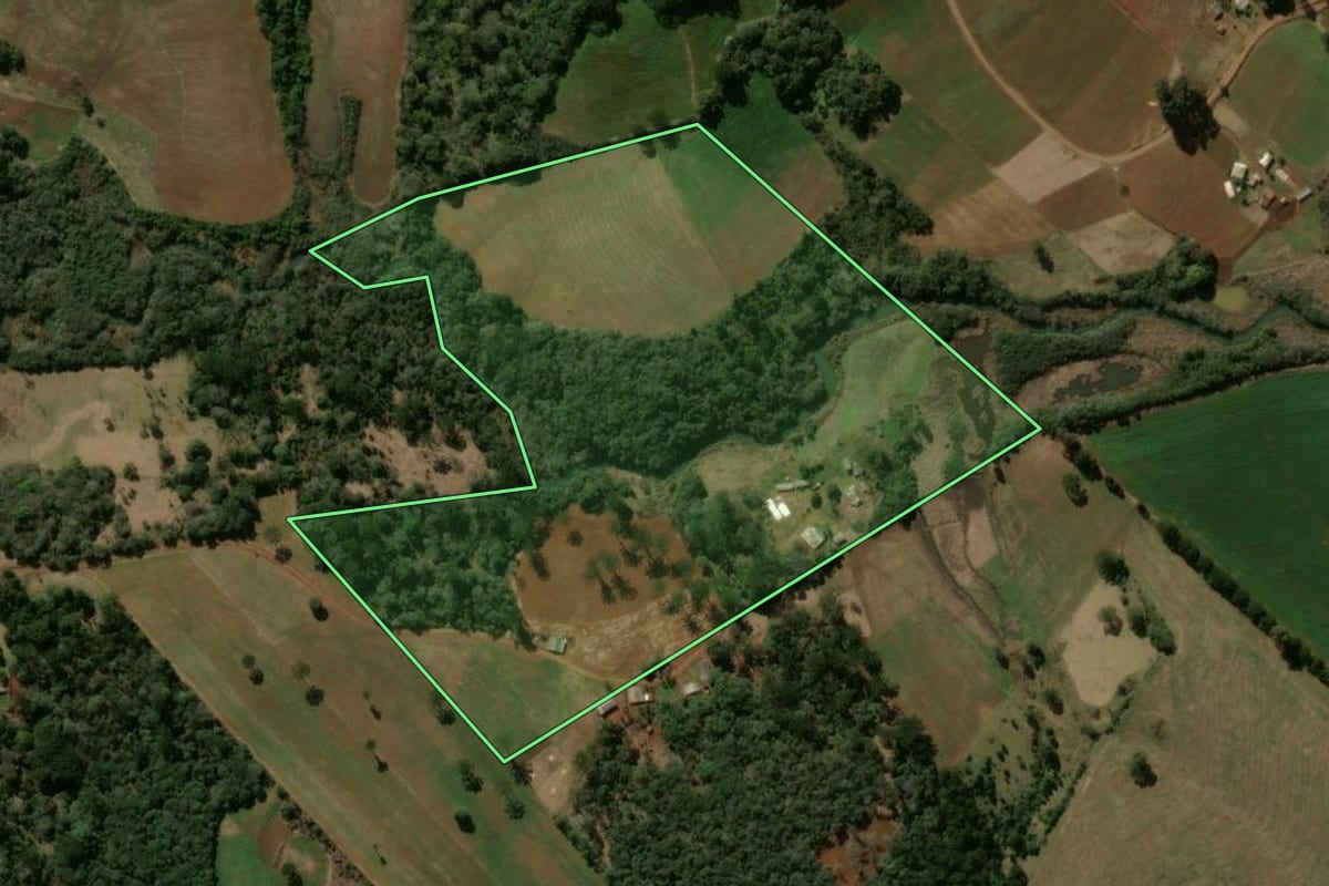 Imagem de satélite do imóvel rural em Pitanga (PR), com o contorno declarado no CAR desenhado por cima.