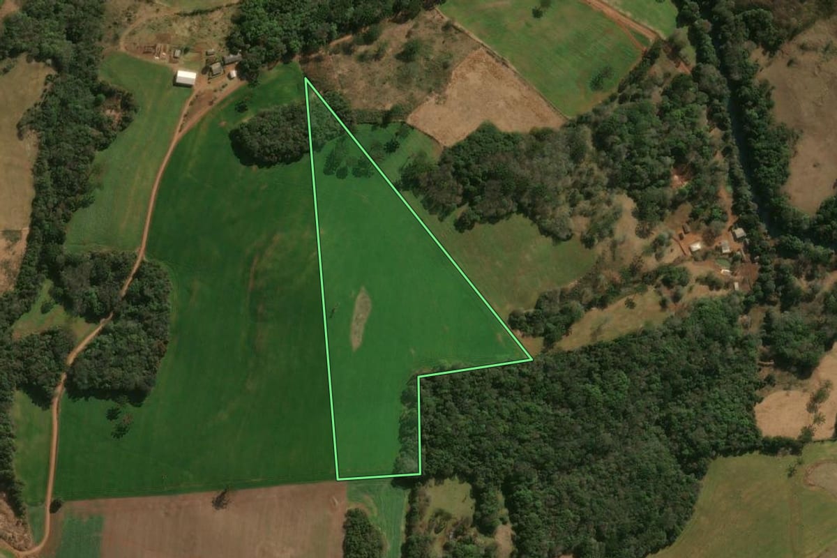 Imagem de satélite do imóvel rural em Pitanga (PR), com o contorno declarado no CAR desenhado por cima.