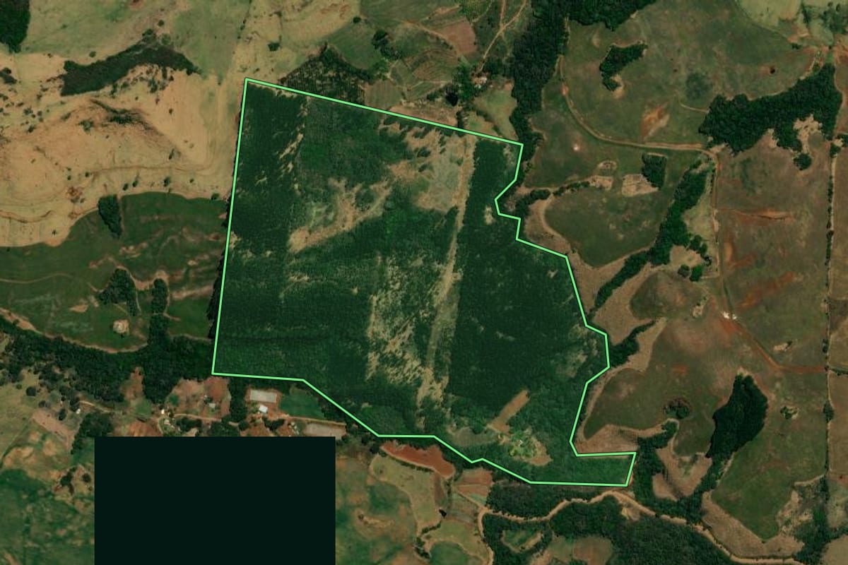 Imagem de satélite do imóvel rural em Pitanga (PR), com o contorno declarado no CAR desenhado por cima.