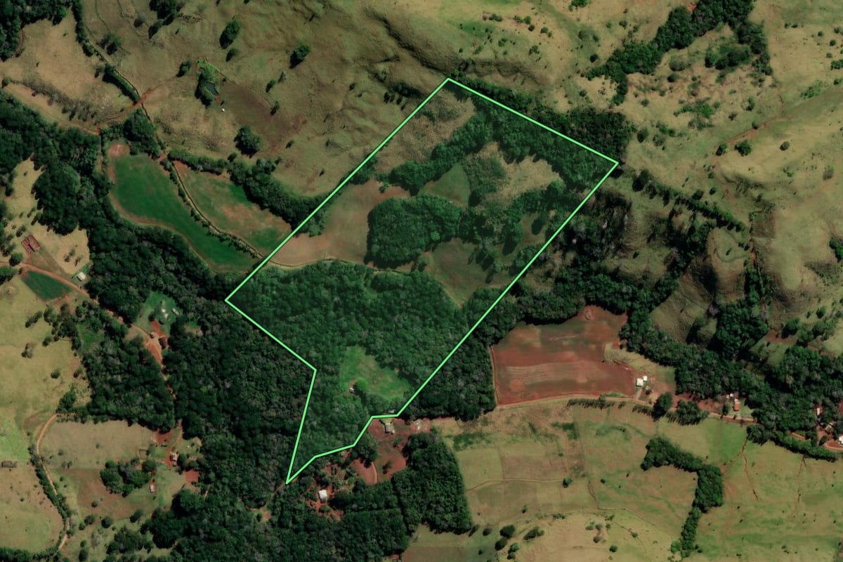 Imagem de satélite do imóvel rural em Pitanga (PR), com o contorno declarado no CAR desenhado por cima.