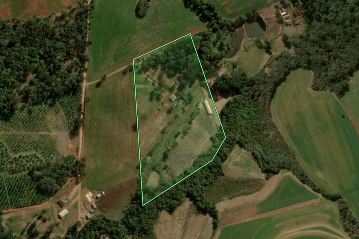 Imagem de satélite do imóvel rural em Pitanga (PR), com o contorno declarado no CAR desenhado por cima.