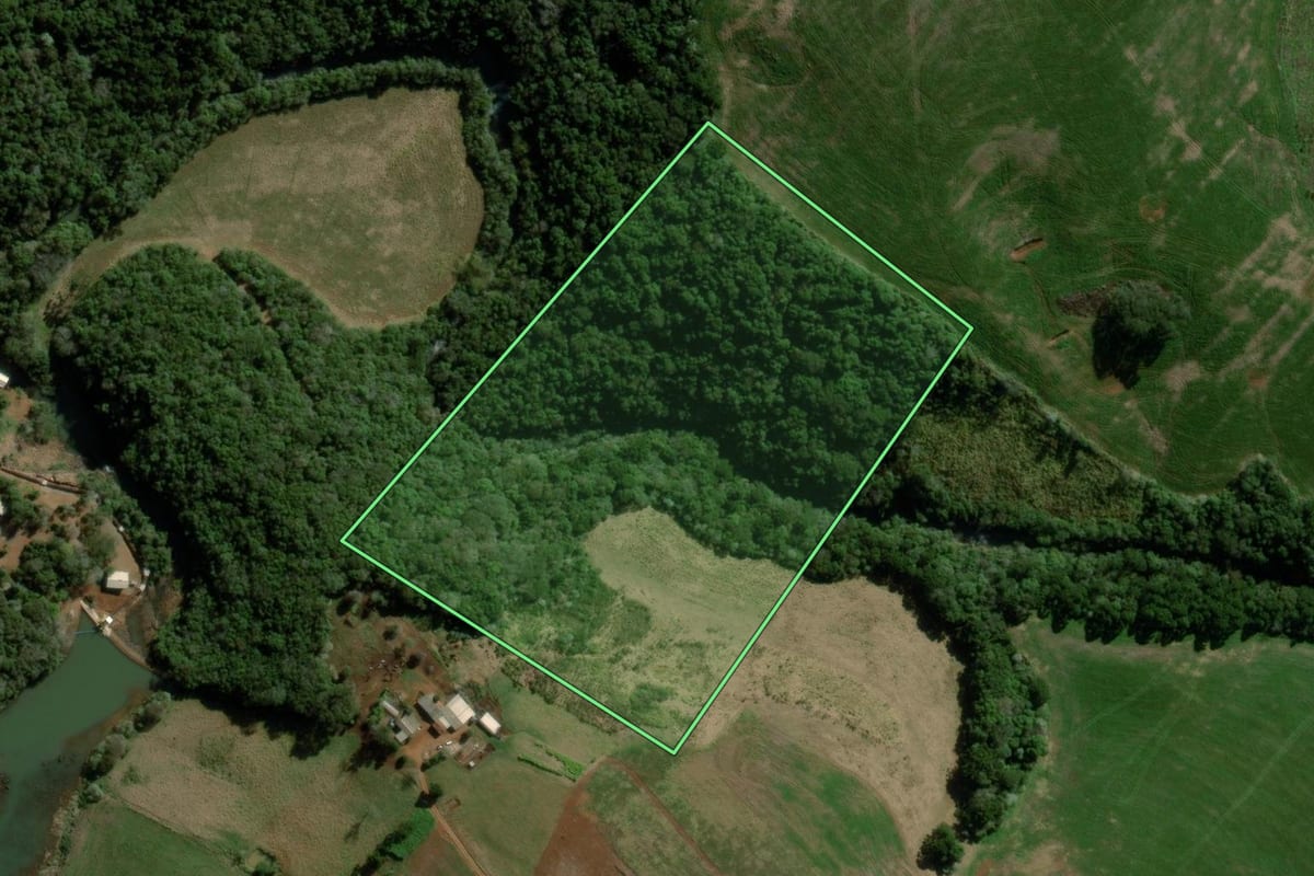 Imagem de satélite do imóvel rural em Pitanga (PR), com o contorno declarado no CAR desenhado por cima.