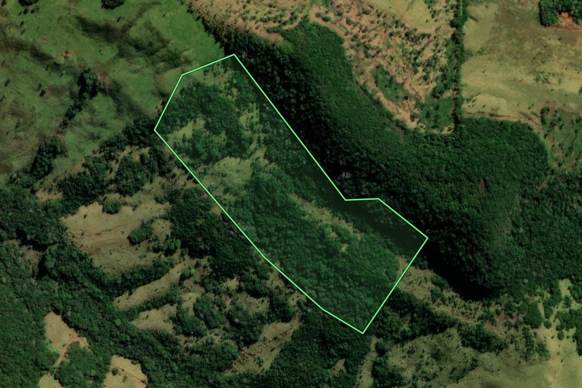 Imagem de satélite do imóvel rural em Pitanga (PR), com o contorno declarado no CAR desenhado por cima.