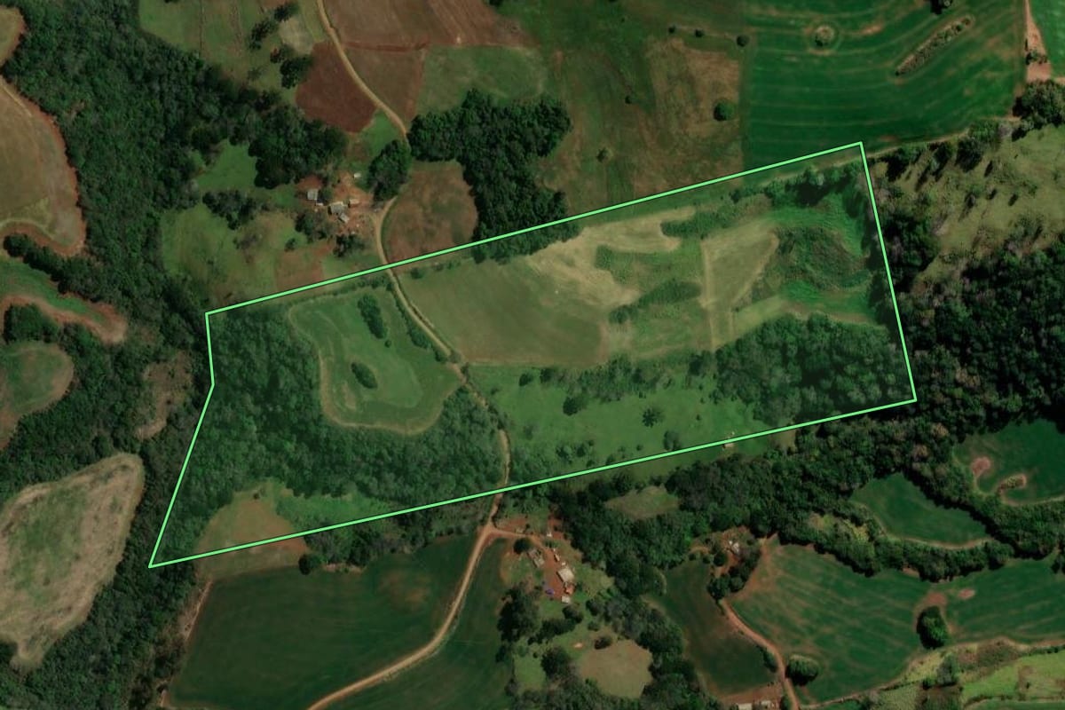 Imagem de satélite do imóvel rural em Pitanga (PR), com o contorno declarado no CAR desenhado por cima.