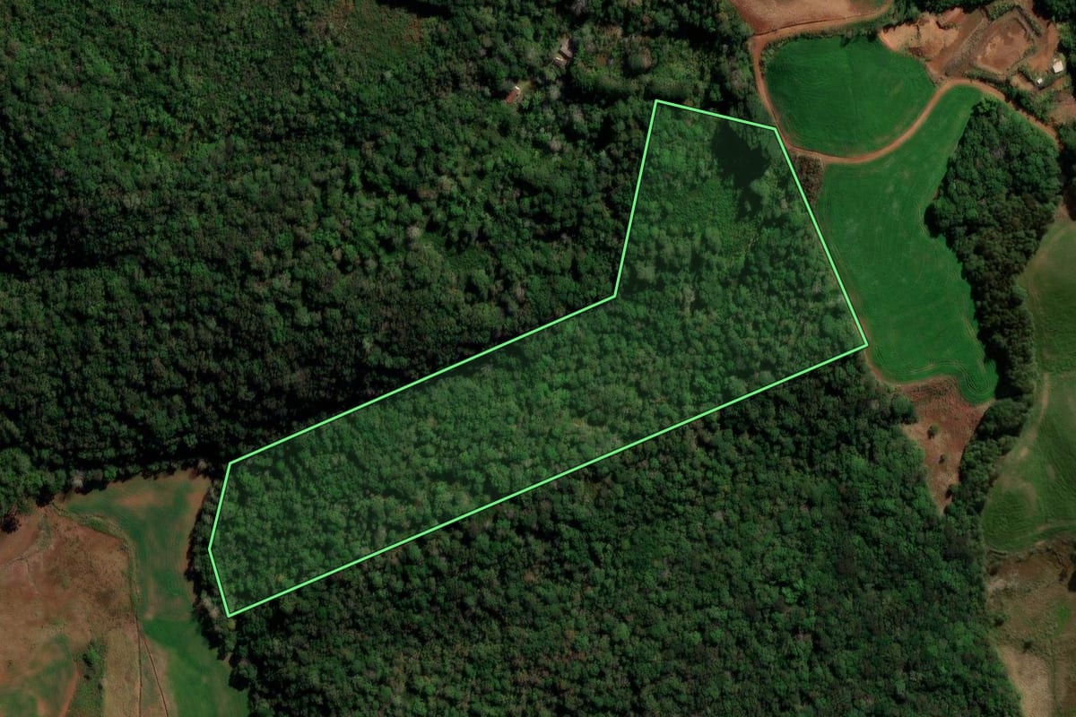Imagem de satélite do imóvel rural em Pitanga (PR), com o contorno declarado no CAR desenhado por cima.