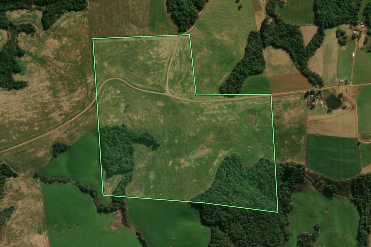 Imagem de satélite do imóvel rural em Pitanga (PR), com o contorno declarado no CAR desenhado por cima.