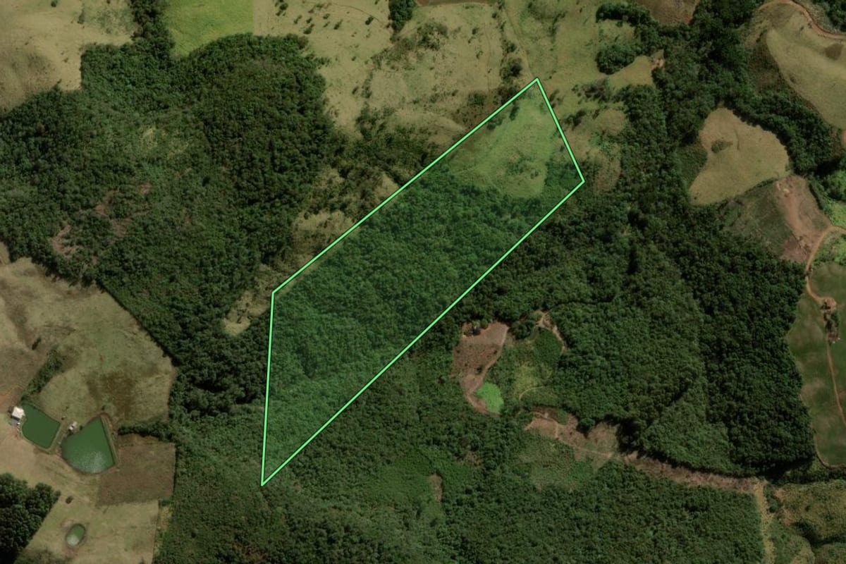 Imagem de satélite do imóvel rural em Pitanga (PR), com o contorno declarado no CAR desenhado por cima.