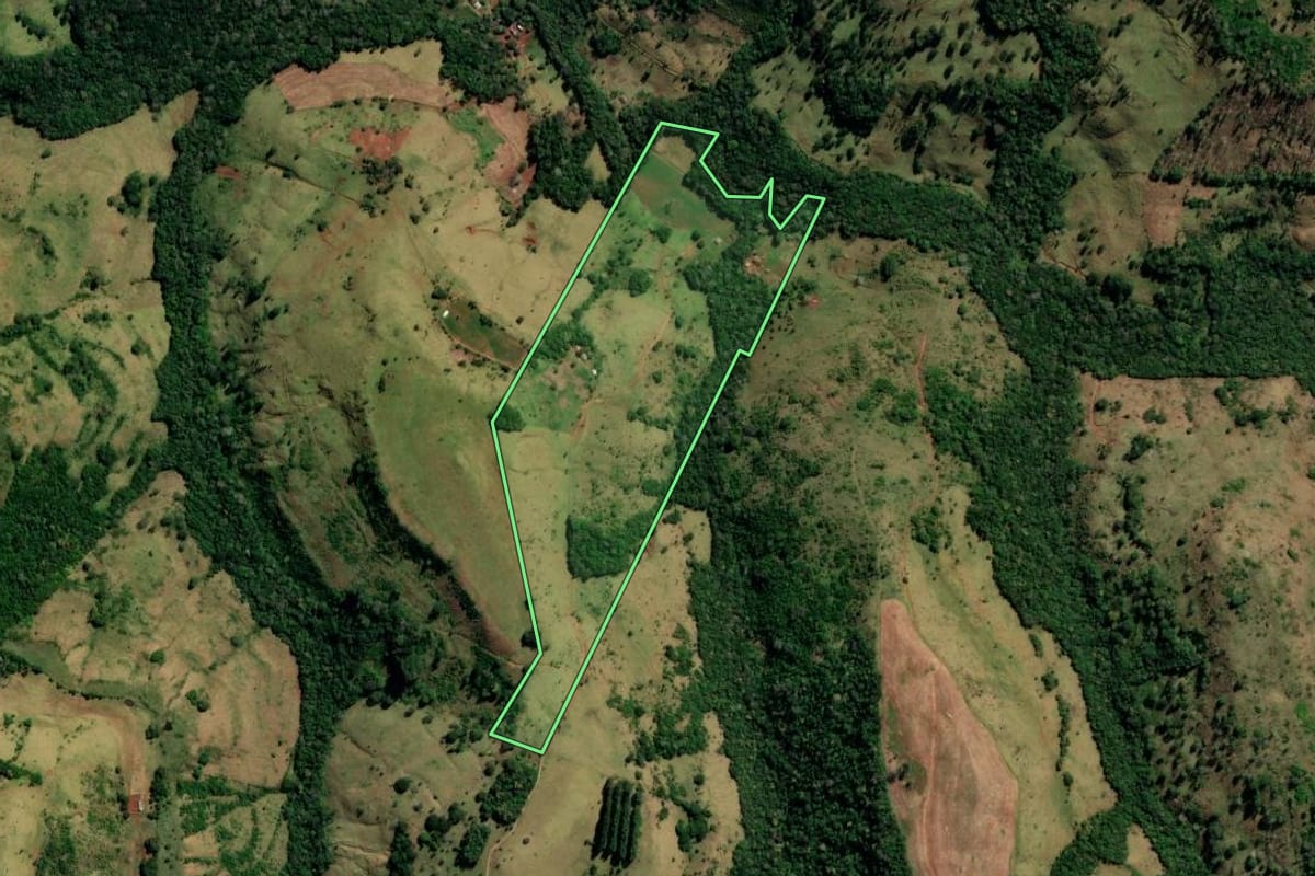 Imagem de satélite do imóvel rural em Pitanga (PR), com o contorno declarado no CAR desenhado por cima.