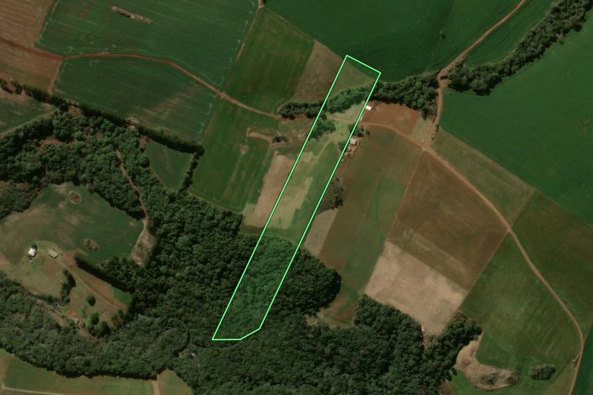 Imagem de satélite do imóvel rural em Pitanga (PR), com o contorno declarado no CAR desenhado por cima.