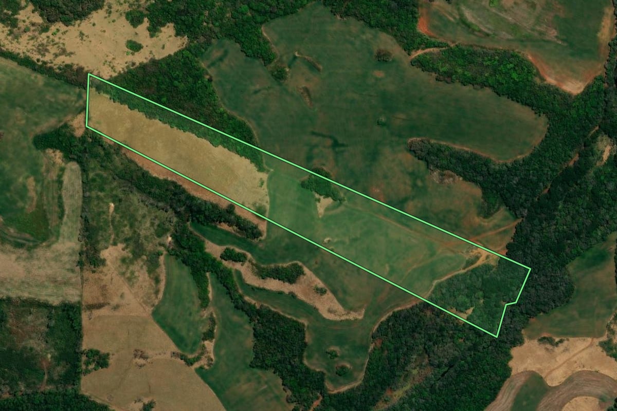 Imagem de satélite do imóvel rural em Pitanga (PR), com o contorno declarado no CAR desenhado por cima.