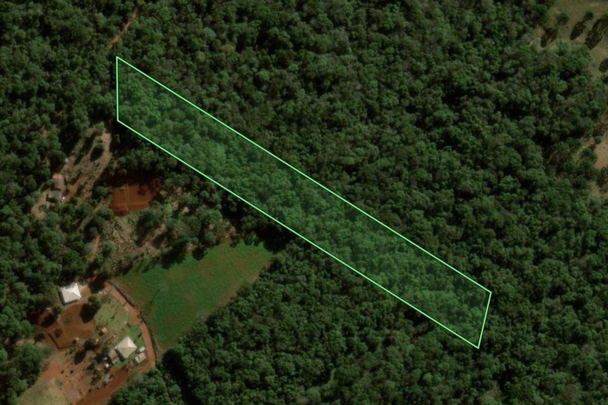 Imagem de satélite do imóvel rural em Pitanga (PR), com o contorno declarado no CAR desenhado por cima.
