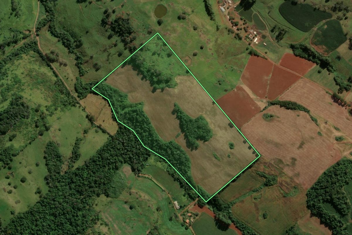 Imagem de satélite do imóvel rural em Pitanga (PR), com o contorno declarado no CAR desenhado por cima.